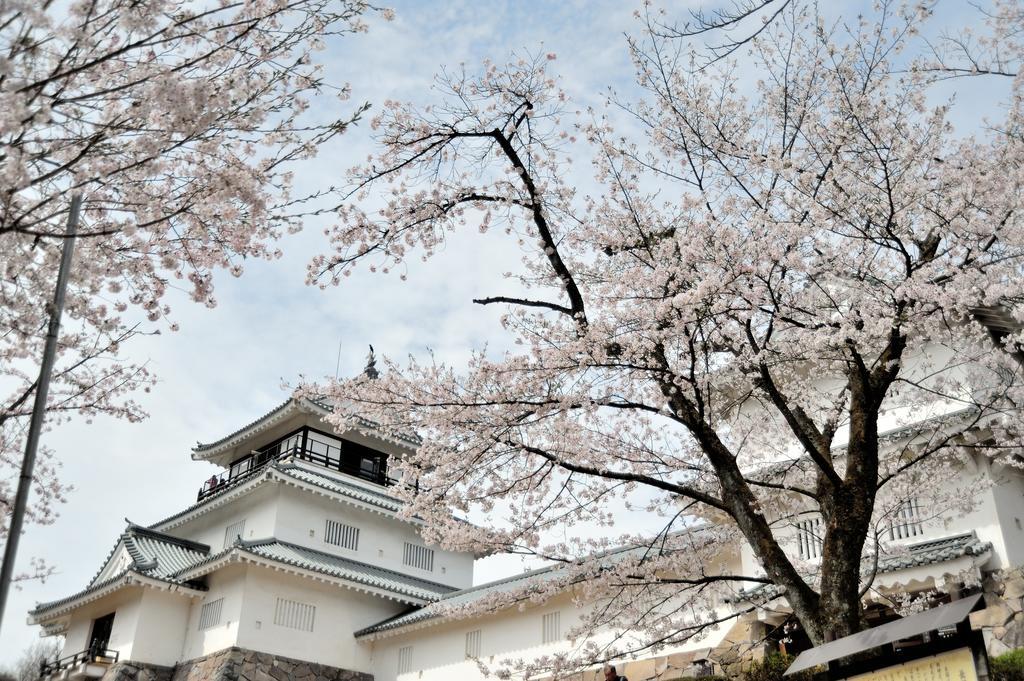 Hotel New Otani Nagaoka Наґаока Екстер'єр фото